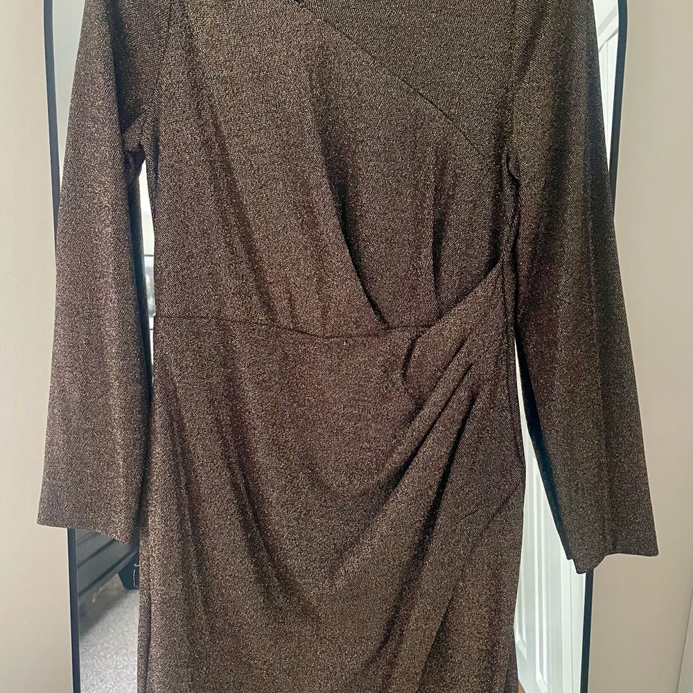DKNY Shimmering Brown Long Sleeve Dress